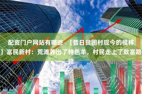 配资门户网站有哪些  【昔日贫困村现今的模样】富民新村：荒滩养出了特色羊，村民走上了致富路