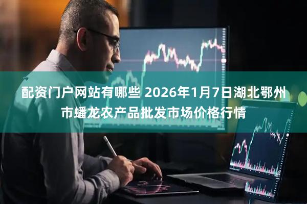 配资门户网站有哪些 2026年1月7日湖北鄂州市蟠龙农产品批发市场价格行情