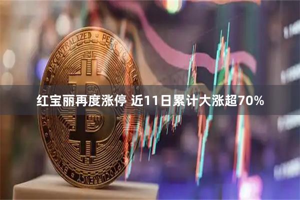 红宝丽再度涨停 近11日累计大涨超70%