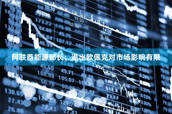 阿联酋能源部长：退出欧佩克对市场影响有限