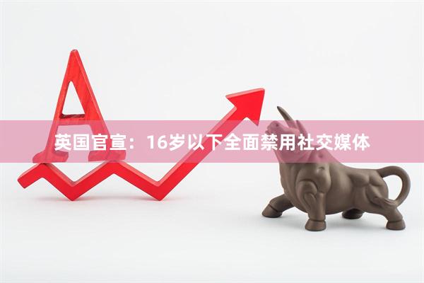 英国官宣:16岁以下全面禁用社交媒体