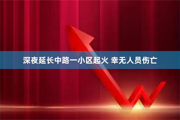 深夜延长中路一小区起火 幸无人员伤亡